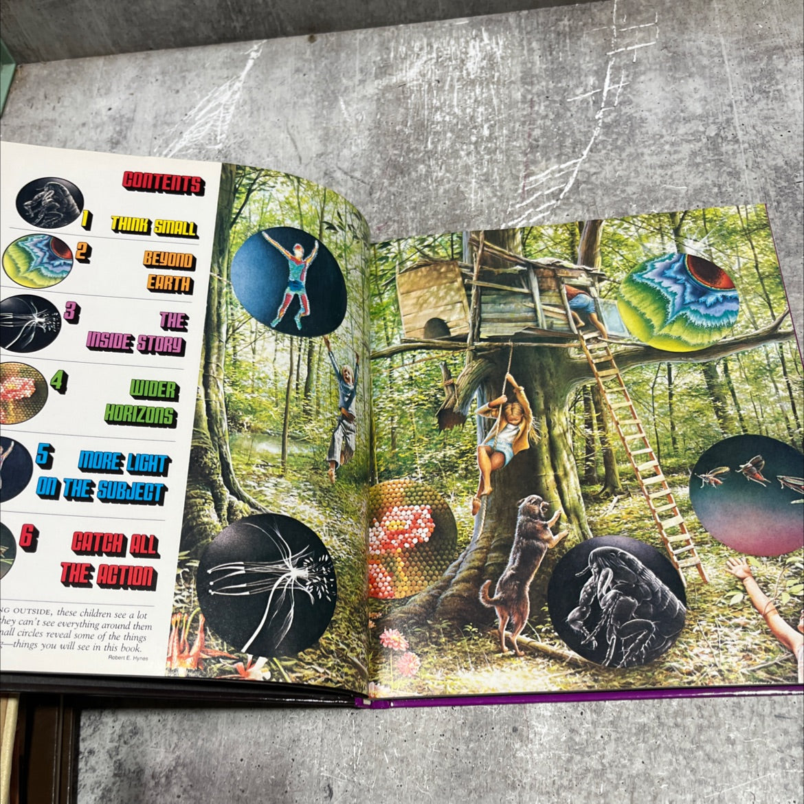 from bud to blossom book, by Peter Loughran, 1981 Hardcover